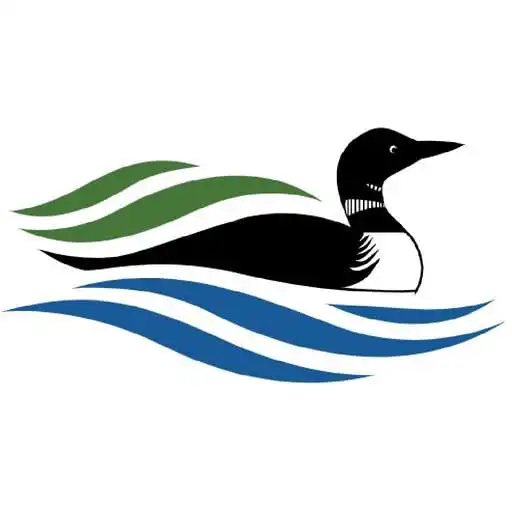 Free play online Revel in the Rideau Lakes APK