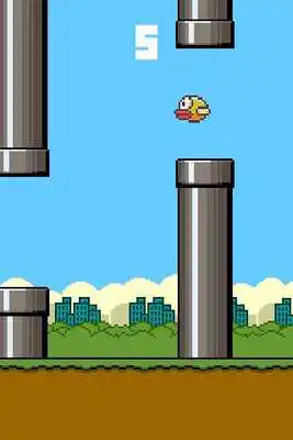 Play Reverse Bird