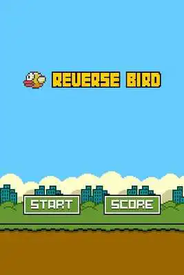 Play Reverse Bird
