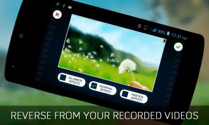 Play Reverse Cam Video Editor