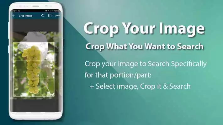 Play Reverse Image Search