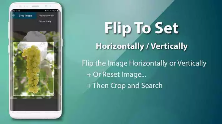 Play Reverse Image Search