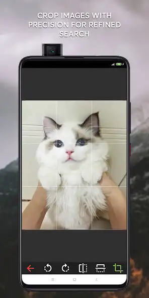 Play Reversify – Reverse Image Search as an online game Reversify – Reverse Image Search with UptoPlay