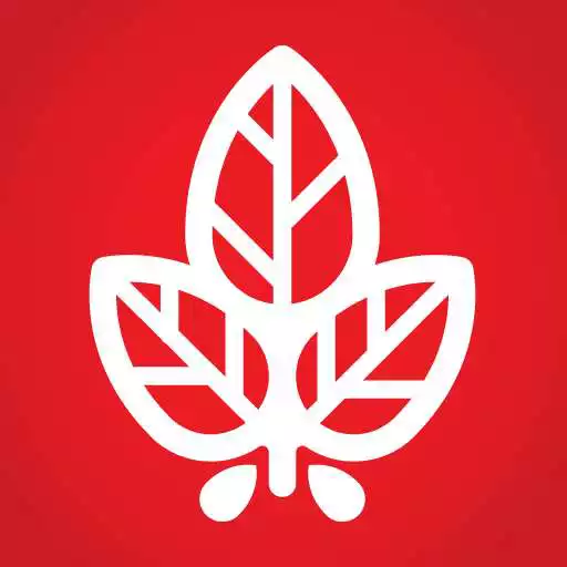 Play Revista El Jornalero APK Play Revista El Jornalero APK