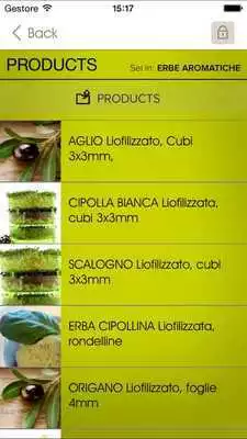 Play Revolution off-road : SPIN RAID