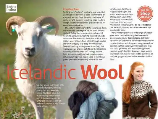 Play Reykjavik Shop and City Guide