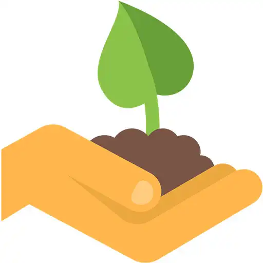 Play rhizo APK Play rhizo APK