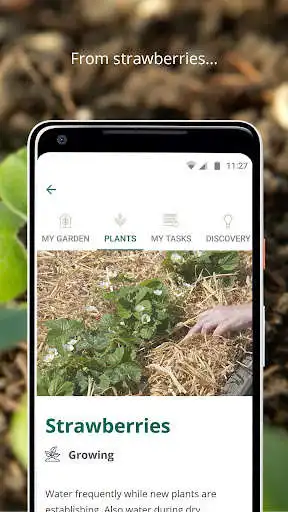 Play R.H.S. Grow Your Own as an online game R.H.S. Grow Your Own with UptoPlay