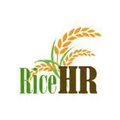 Free play online Rice HR APK