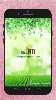 Play Rice HR Play Rice HR