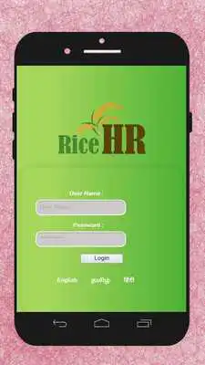 Play Rice HR Play Rice HR