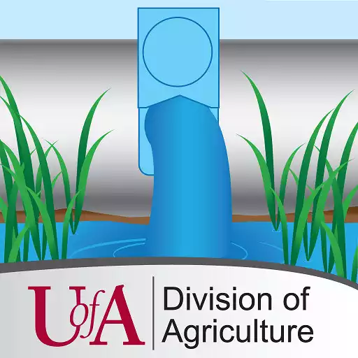 Free play online Rice Irrigation APK