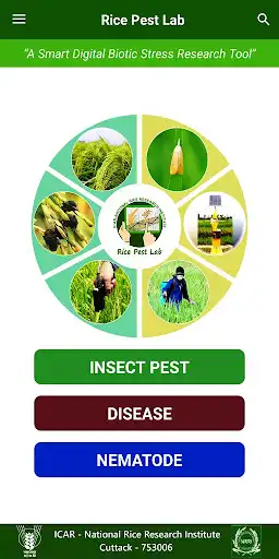 Play Rice Pest Lab as an online game Rice Pest Lab with UptoPlay