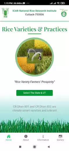 Play Rice Varieties  Practices  and enjoy Rice Varieties  Practices with UptoPlay