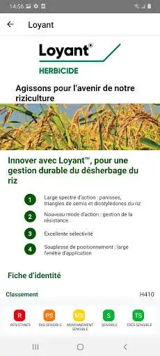 Play RiceXpert France as an online game RiceXpert France with UptoPlay