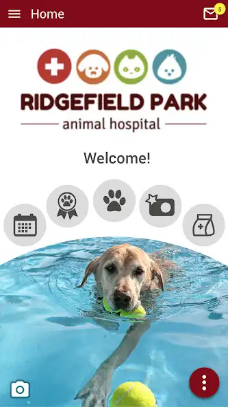 Play Ridgefield Park AH and enjoy Ridgefield Park AH with UptoPlay Play Ridgefield Park AH and enjoy Ridgefield Park AH with UptoPlay