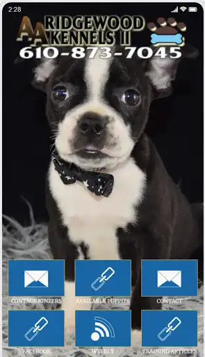 Play Ridgewood Puppies II  and enjoy Ridgewood Puppies II with UptoPlay