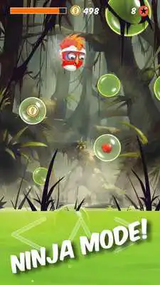 Play Rikos Fate