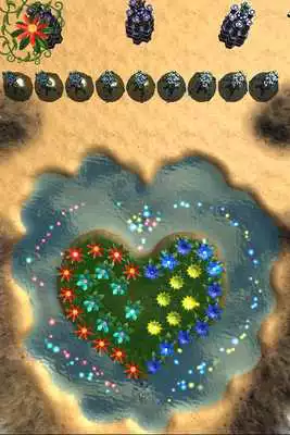 Play Rills Blossom Play Rills Blossom