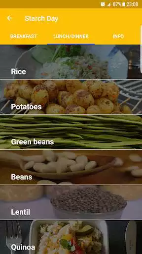 Play Rina 90 Days Diet Tracker