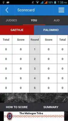 Play Ringside Scoring