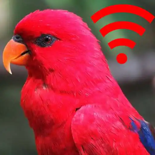 Play Ringtones and Sounds of Birds, Free Birdsong. APK