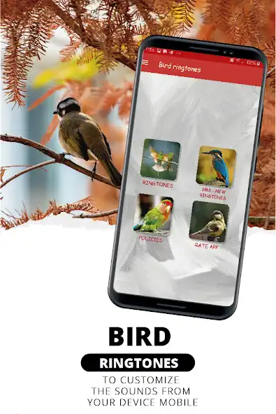 Play Ringtones, bird sounds  and enjoy Ringtones, bird sounds with UptoPlay