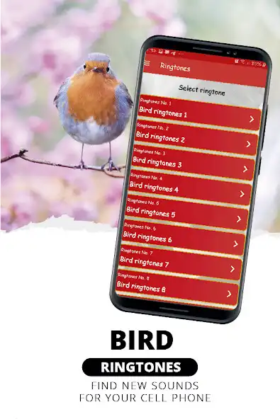 Play Ringtones, bird sounds as an online game Ringtones, bird sounds with UptoPlay