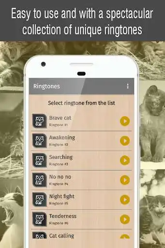 Play ringtones cat for phone as an online game ringtones cat for phone with UptoPlay