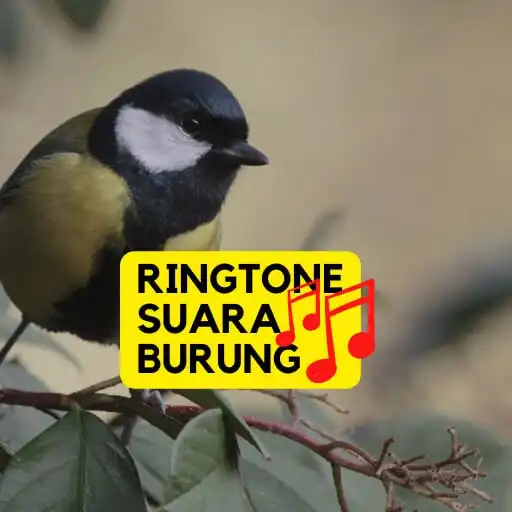 Play Ringtone Suara Kicau Burung as an online game online Ringtone Suara Kicau Burung with UptoPlay Play Ringtone Suara Kicau Burung as an online game Ringtone Suara Kicau Burung with UptoPlay