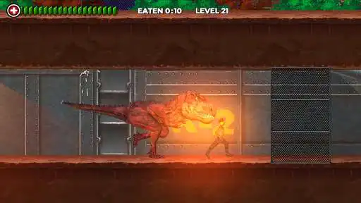 Play Rio Rex