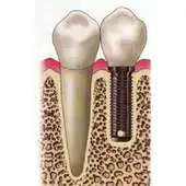 Free play online RIPerio APK