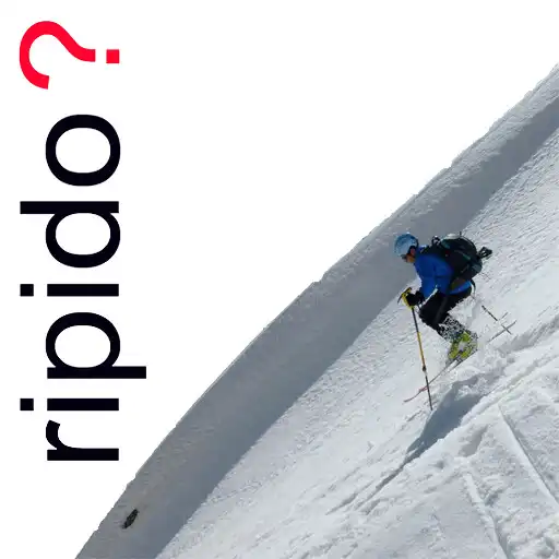 Play ripido? APK Play ripido? APK