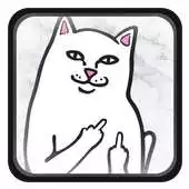 Free play online Ripndip Wallpaper APK Free play online Ripndip Wallpaper APK