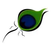 Free play online Rishesse APK