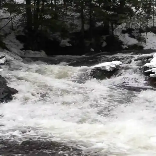 Play River Live Wallpaper Pro APK Play River Live Wallpaper Pro APK