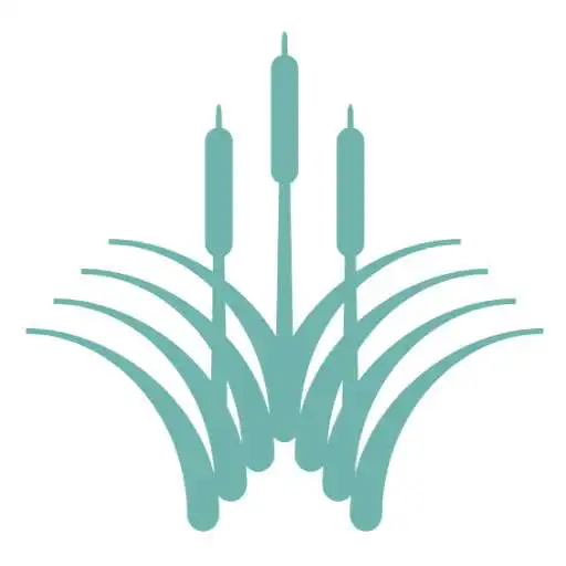Play Riverstone APK