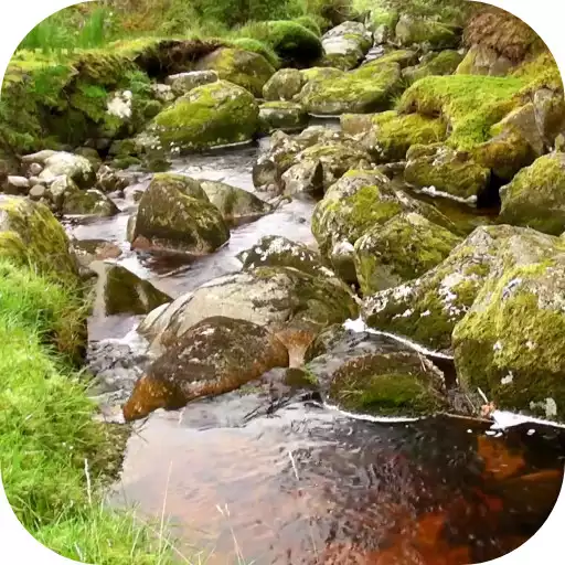 Free play online River Video Live Wallpaper APK