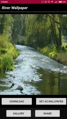 Play River Wallpaper