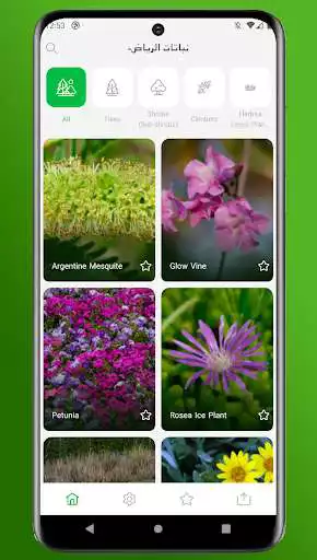 Play Riyadh Plants  and enjoy Riyadh Plants with UptoPlay