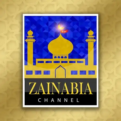 Play Rizvi Zainabia Live APK
