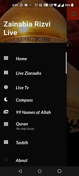 Play Rizvi Zainabia Live as an online game Rizvi Zainabia Live with UptoPlay