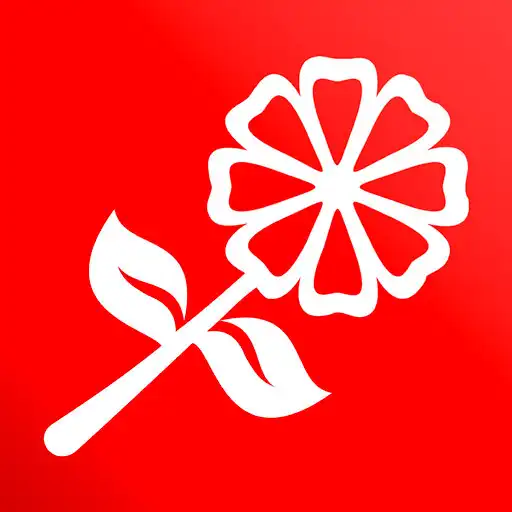 Play Rizzato Fiori APK Play Rizzato Fiori APK