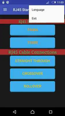 Play RJ45 Standard Connections Play RJ45 Standard Connections