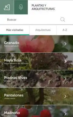 Play RJB Live Museum Play RJB Live Museum