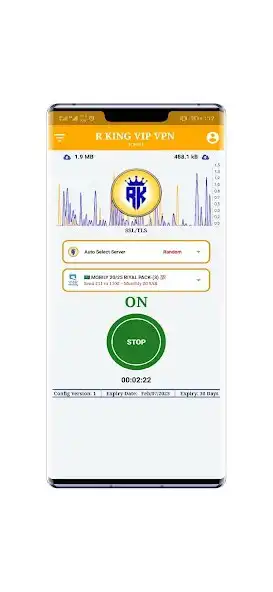 Play R KING VIP VPN as an online game R KING VIP VPN with UptoPlay