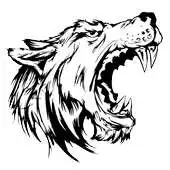 Free play online RM Crossfit APK