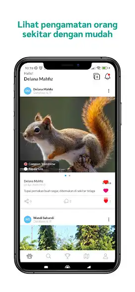 Play RMU Biodiversity  and enjoy RMU Biodiversity with UptoPlay