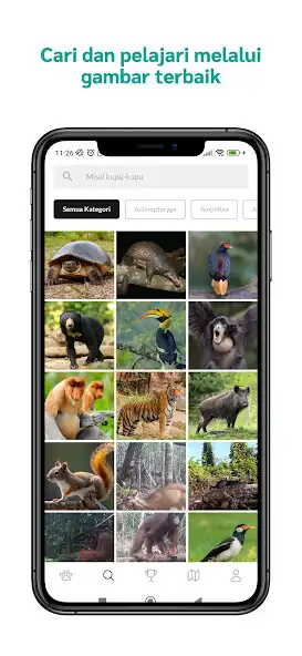 Play RMU Biodiversity as an online game RMU Biodiversity with UptoPlay