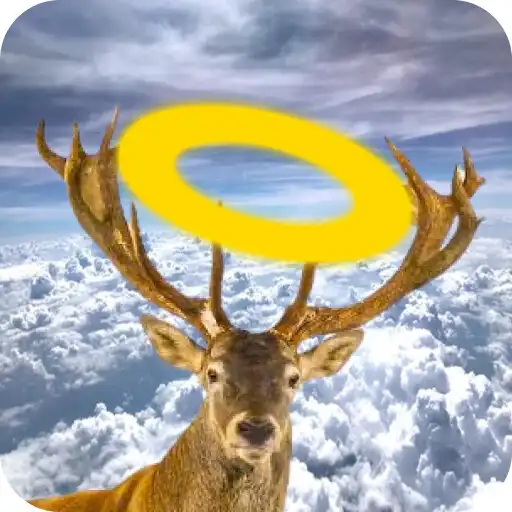 Play Roadkill Art APK Play Roadkill Art APK